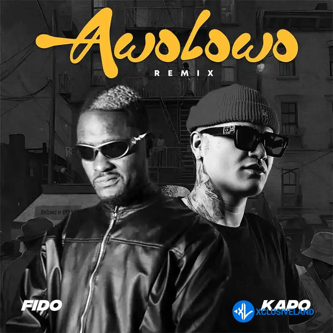 Awolowo (Remix) by Fido, Kapo