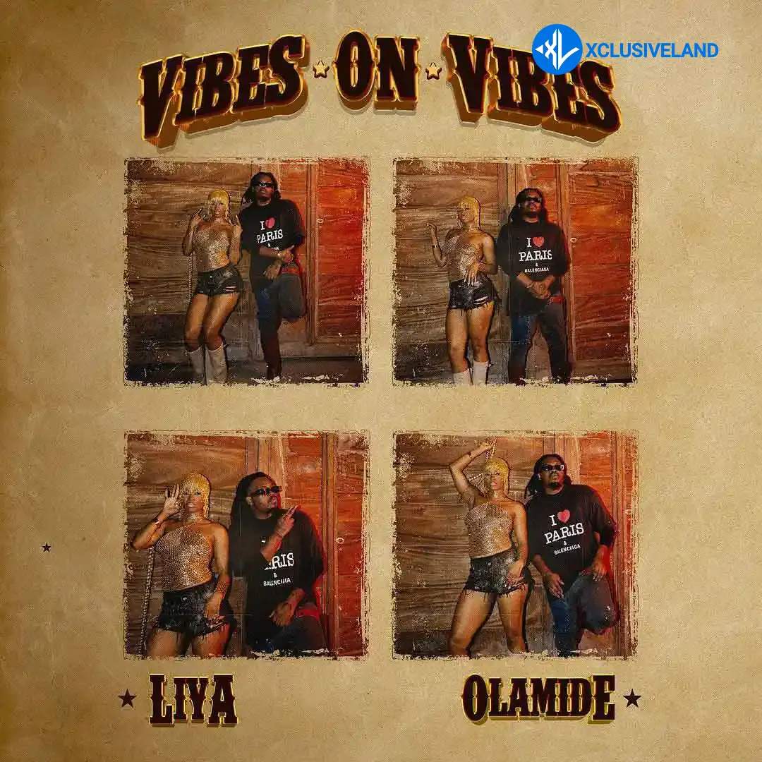 Vibes On Vibes