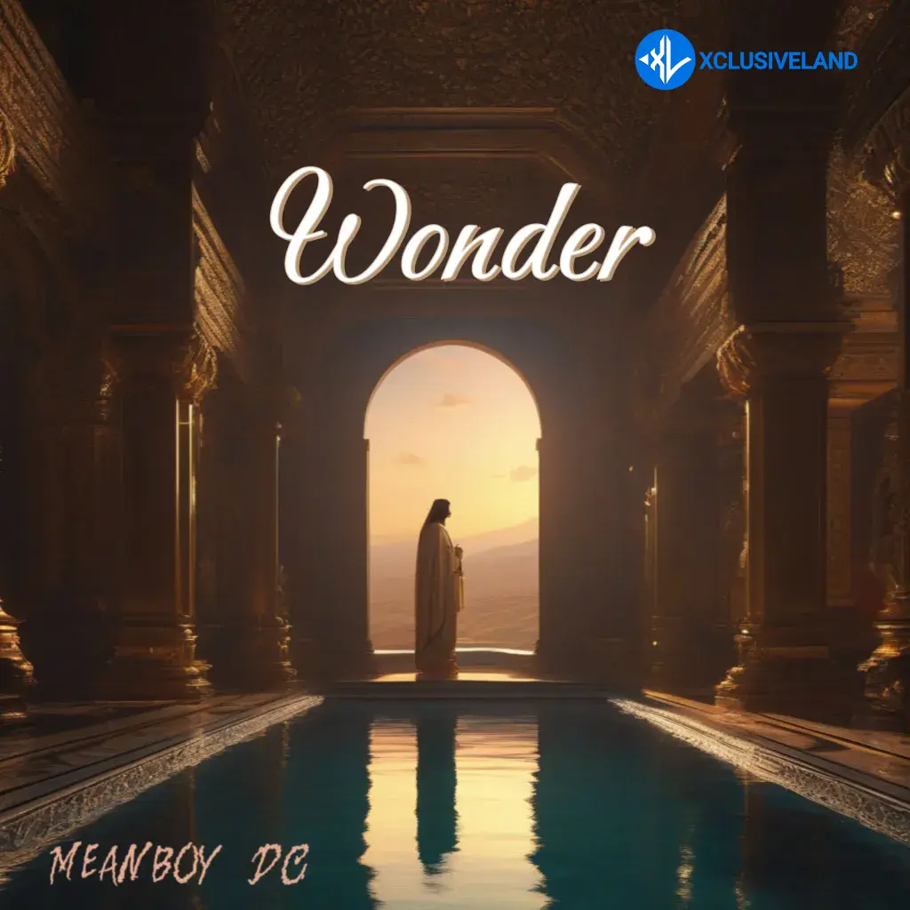 Wonder by Meanboy DC