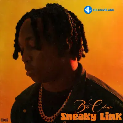 Sneaky Link by Boi Chase