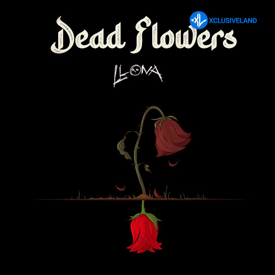 Dead Flowers