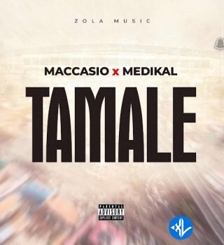 TAMALE by Maccasio