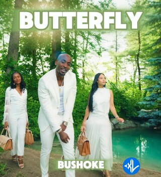 Butterfly by Bushoke