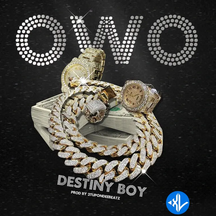 OWO by Destiny Boy