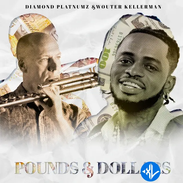 Pounds & Dollars by Diamond Platnumz, Wouter Kellerman