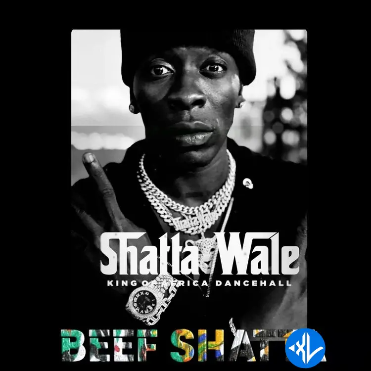 Beef Shatta by Shatta Wale