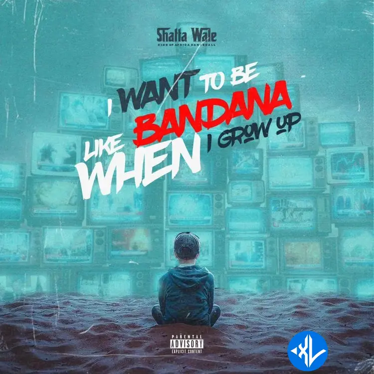 I Want To Be Like Bandana by Shatta Wale