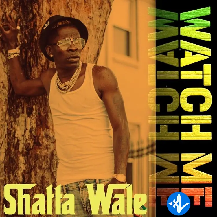 Watch Me by Shatta Wale