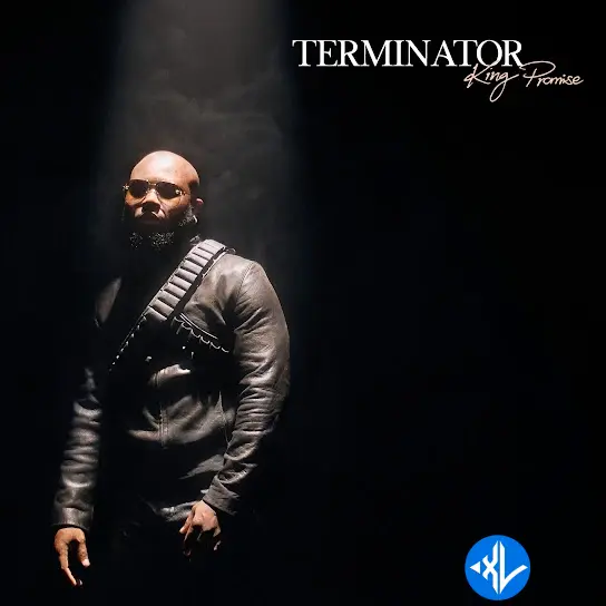 Terminator by King Promise