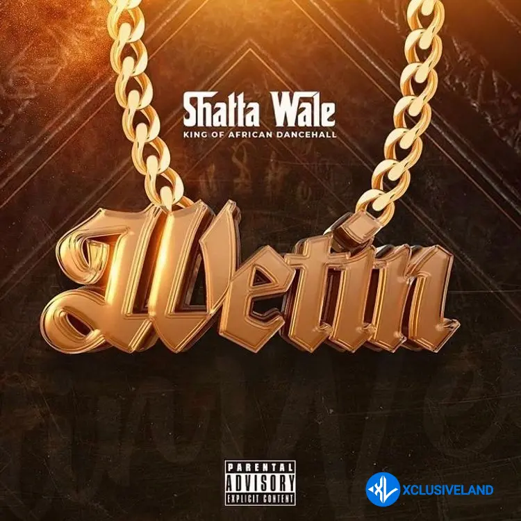Wetin by Shatta Wale