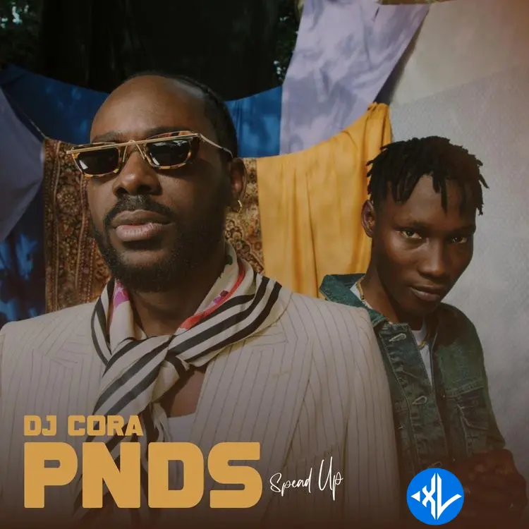PNDS (Speed Up Version)
