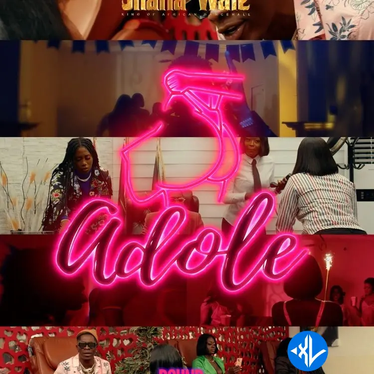 Adole by Shatta Wale