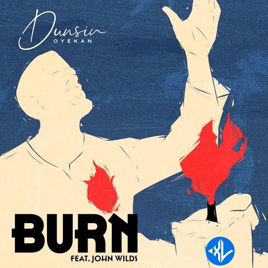Burn Live by Dunsin Oyekan, John Wilds