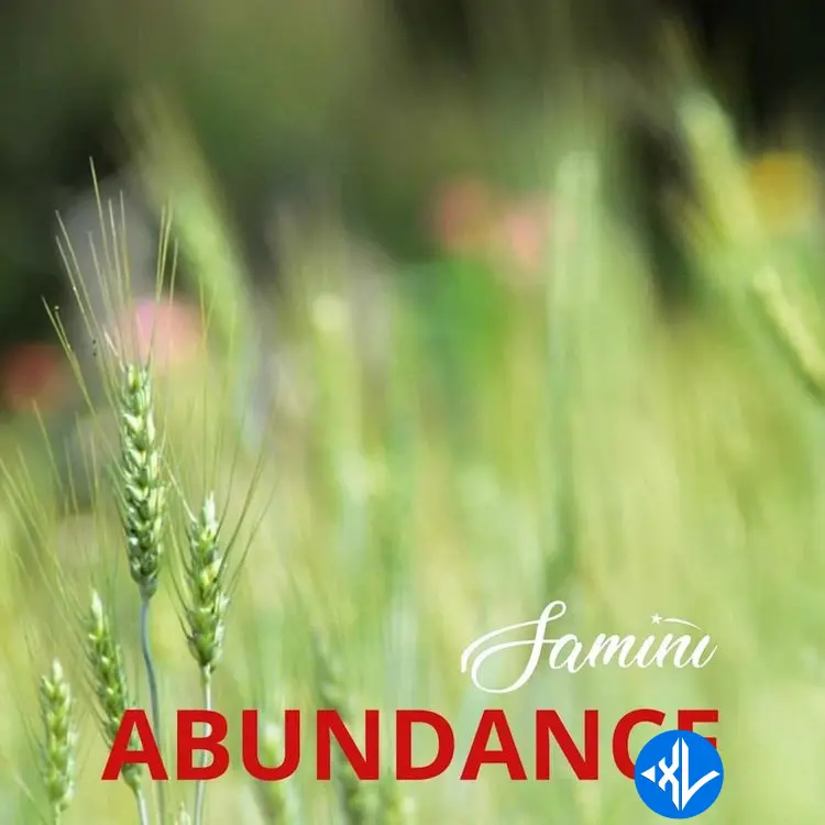 Abundance