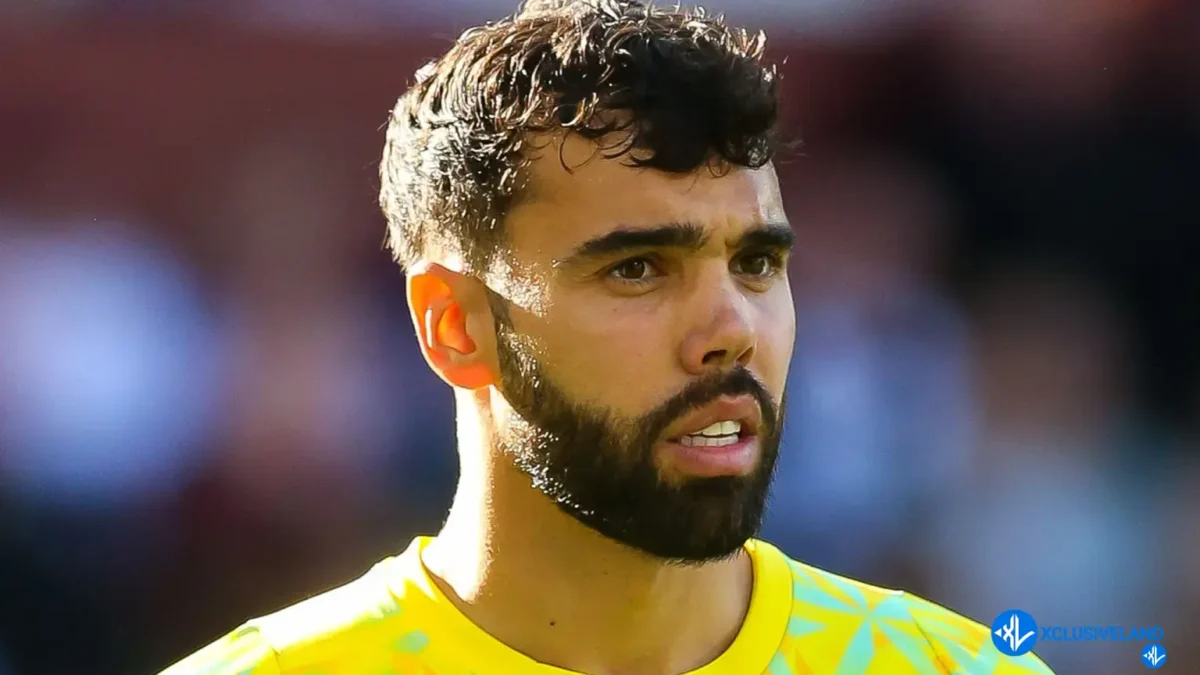 UCL: Only Three Goalkeepers Have Higher Save Percentage Than Arsenal’s David Raya in History