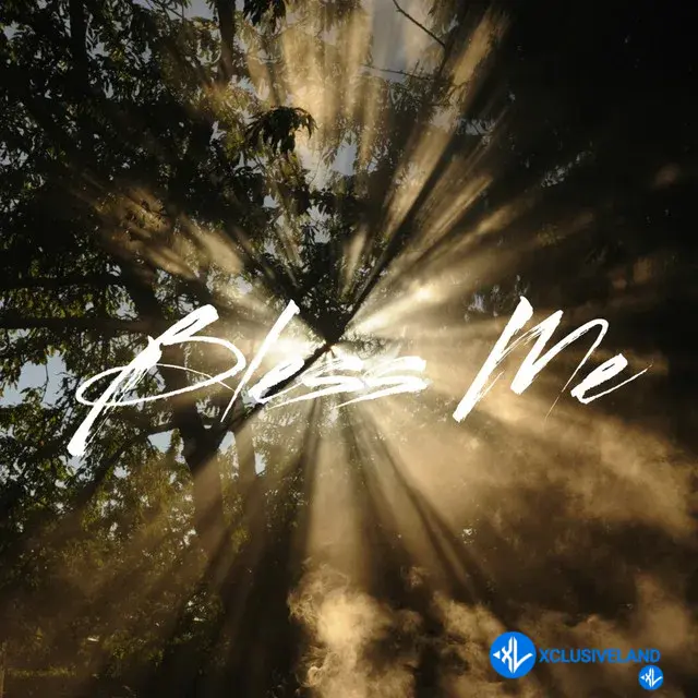 Bless Me by Shatta Wale, Heddy Boss