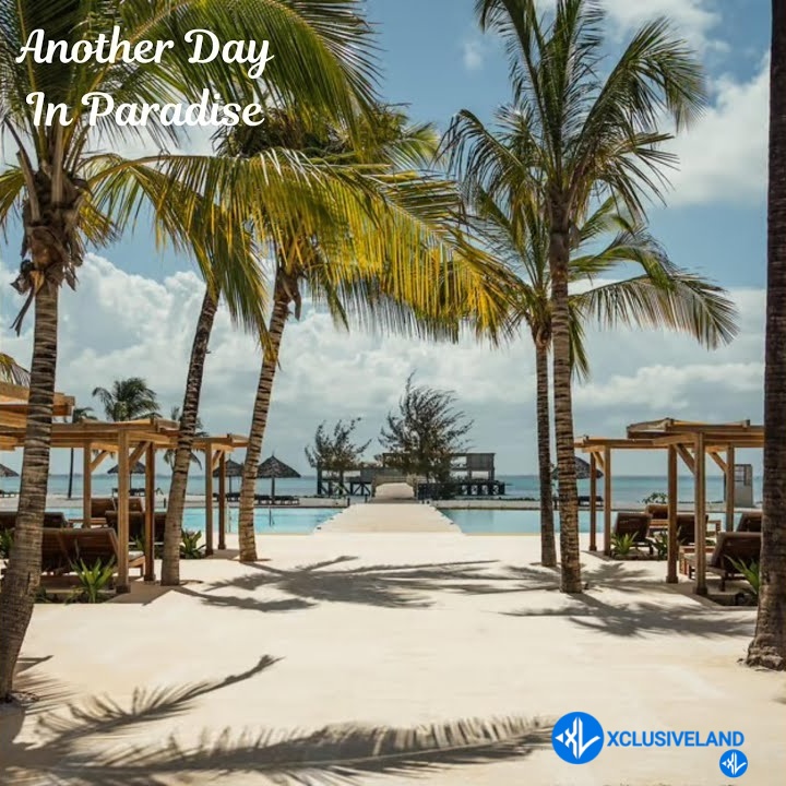 Phil Collins, Another Day In Paradise by Naughtybeatz