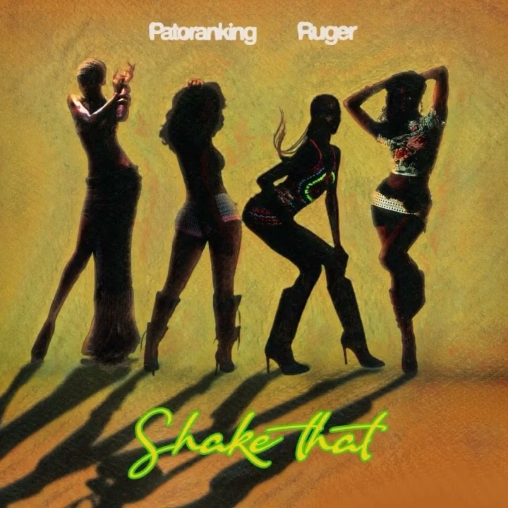 Shake That by Ruger, Patoranking