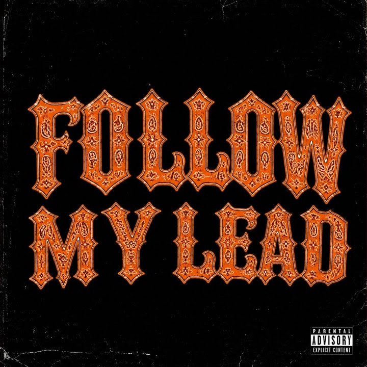 Follow My Lead by Zerrydl